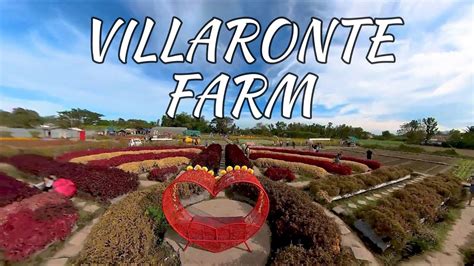 Farm Villaronte: Photos, Map & Reviews [2024] .